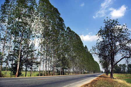 东南亚风景摄影照片_亚洲某地乡村的空路。