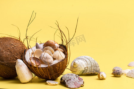 夏天主题背景摄影照片_黄色背景中的椰子和贝壳。海洋主题