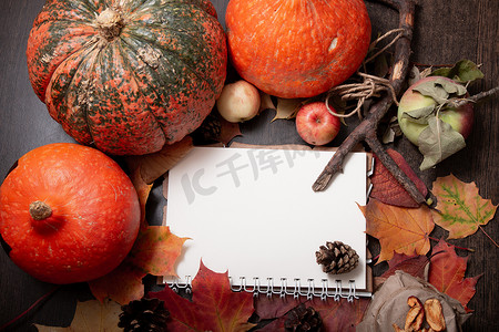 一罐茶的舒适静物，秋天的水果和蔬菜，干苹果，树枝，秋天的落叶，秋天的冷处理，橙色，写字板，复制空间，秋天的心情，万圣节，祝福日，季节性主题