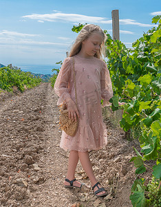 新濠天地摄影照片_葡萄园和山天地葡萄园自然藤蔓中的女孩，葡萄园种植葡萄，秋季玻璃。