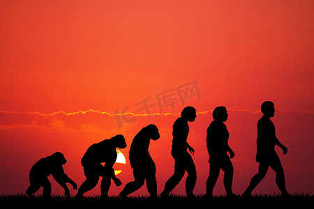 人类进化剪影