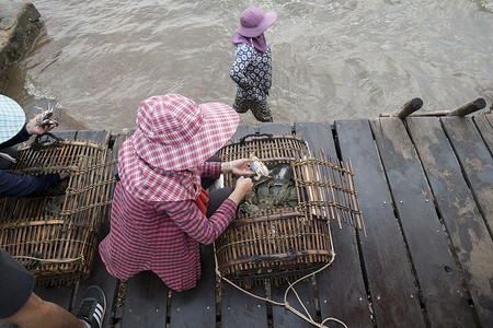 水产底纹摄影照片_柬埔寨白马省 Krong Kaeb 螃蟹市场
