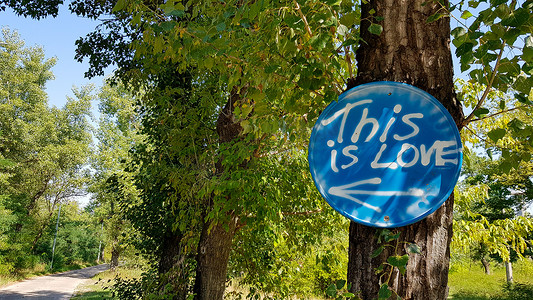 树林里路标上的铭文是爱