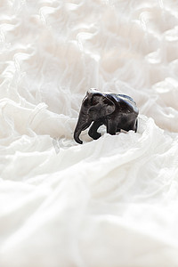 白色纺织背景与大象图。