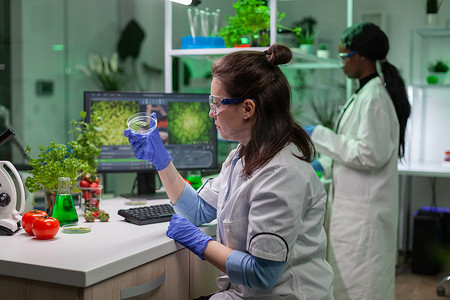 植物学家妇女用叶样检查转基因试验看培养皿