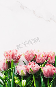大理石背景上的春花作为节日礼物、贺卡和花卉平铺