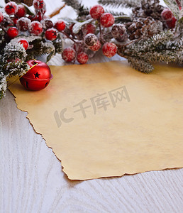 包装纸上有浆果的雪毛树枝