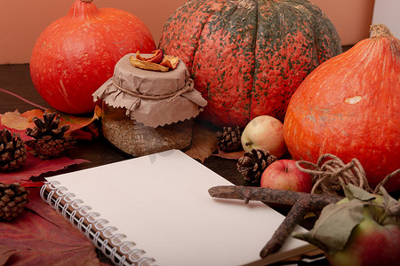 一罐茶的舒适静物，秋天的水果和蔬菜，干苹果，树枝，秋天的落叶，秋天的冷处理，橙色，写字板，复制空间，秋天的心情，万圣节，祝福日，季节性主题