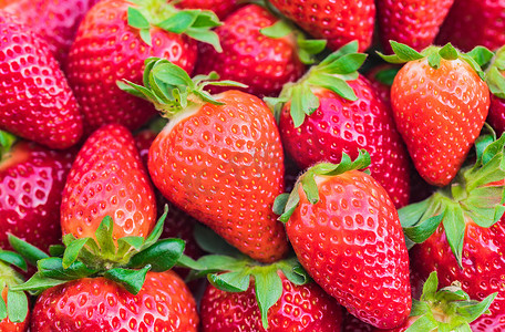 新鲜的红草莓背景，特写