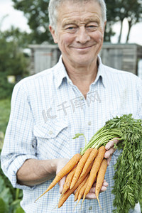 配发持有新鲜采摘的胡萝卜的老人