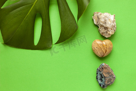 各种彩色石头与绿色龟背竹叶作为夏季背景特写。
