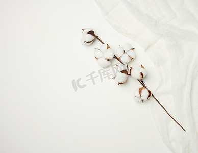 一块白纱布和桌上放着白色棉花花的小枝，俯视