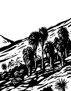 美国加利福尼亚州约书亚树国家公园的四十九棕榈绿洲步道 WPA 木刻黑白艺术