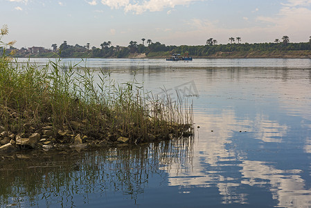 埃及尼罗河与草芦苇的看法