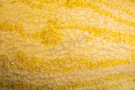 黄色西瓜摄影照片_瓜果皮滴水的特写背景。