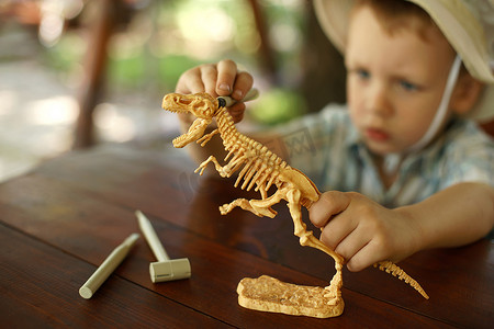 恐龙挖掘摄影照片_男孩想成为一名考古学家