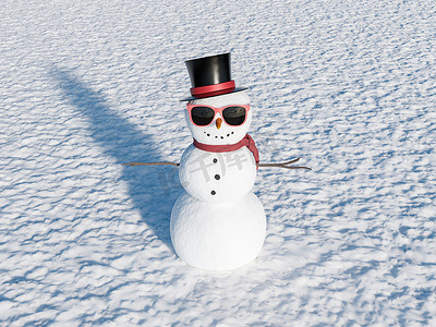 白天戴墨镜的雪人