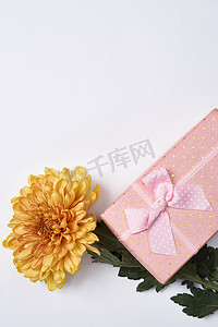 粉色礼盒鲜花花束节日光背景