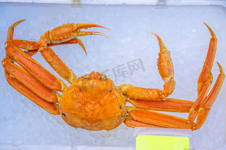 帝王蟹摄影照片_北海道函馆海鲜市场的红帝王蟹（Taraba 蟹）或阿拉斯加帝王蟹