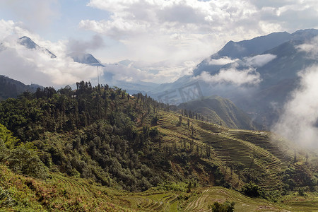 风景山摄影照片_黎明雾中的山林风景山全景