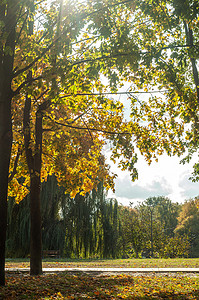 乌克兰 Bila Tserkva - 2019 年 10 月 11 日。Colorfull 落树在罗斯河附近的小公园