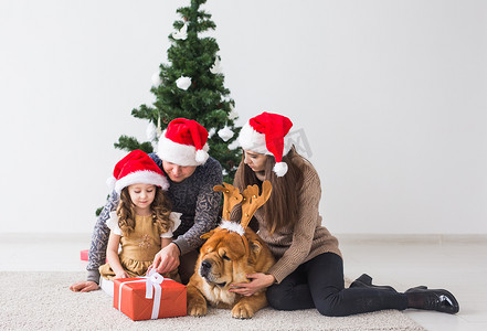 宠物、假期和节日概念 — 带狗的家人躺在圣诞树附近的地板上。
