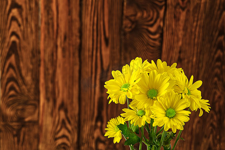 木质花盆摄影照片_棕色木质背景上美丽的新鲜黄色菊花，特写镜头，黄色雏菊花。