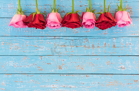 情人节贺卡与红色和粉红色的玫瑰
