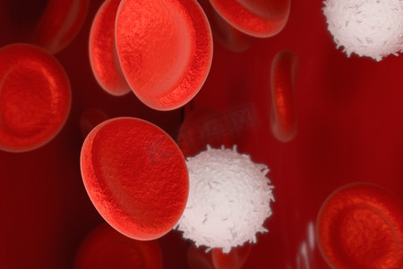 血管中的红细胞和白细胞，3D 渲染。