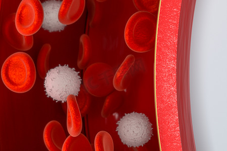 血管中的红细胞和白细胞，3d 渲染。