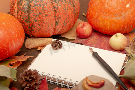 主题黑摄影照片_一罐茶的舒适静物，秋天的水果和蔬菜，干苹果，树枝，秋天的落叶，秋天的冷处理，橙色，写字板，复制空间，秋天的心情，万圣节，祝福日，季节性主题