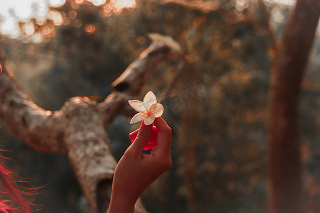 吉鼠迎春摄影照片_拿着一朵花迎着光