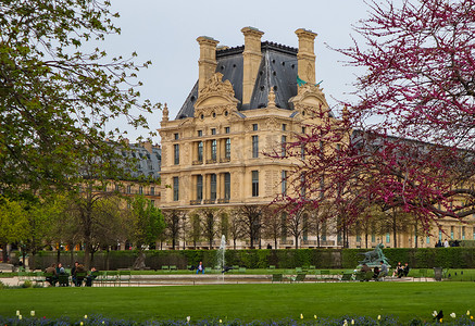 巴黎/法国-2019 年 4 月 5 日。美妙的杜乐丽春天花园和卢浮宫的景色