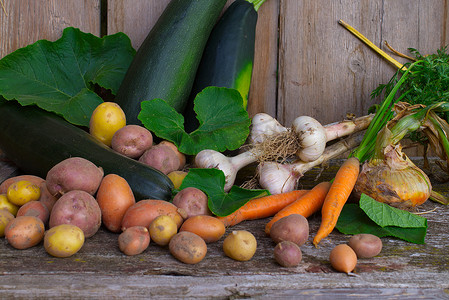 乡村餐桌上新鲜收获的健康农场蔬菜