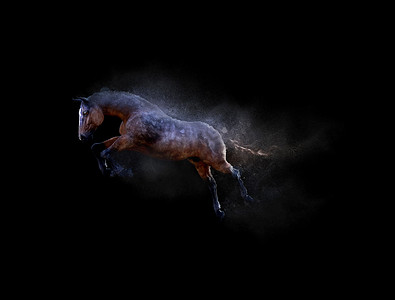 灰尘效果摄影照片_一匹马移动和跳跃，具有灰尘颗粒效果
