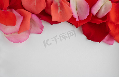 红色的玫瑰花瓣上是一颗红色的木心。母亲节、家庭日、情人节、3 月 8 日的概念。