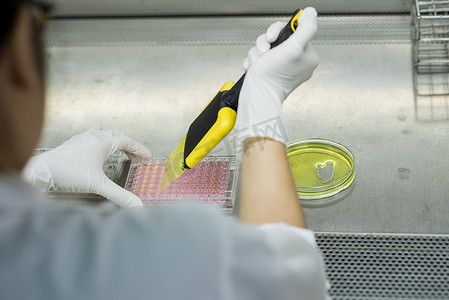 研究人员将测试液转移至 96 孔板进行微生物检测