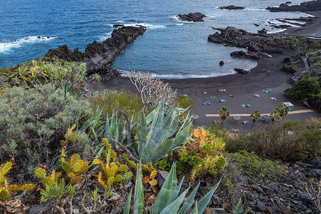 洛斯坎卡霍斯 (Los Cancajos) 的热带仙人掌花园和黑沙滩。