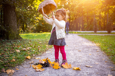 可爱的小女孩在秋天的森林里玩篮子和秋天的枫叶