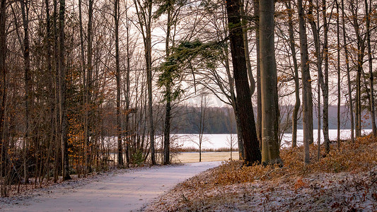 冬天，白雪皑皑的森林公路通往结冰的湖面