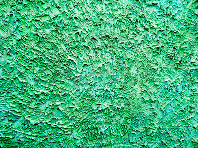 古墙背景绿刺墙外墙室外