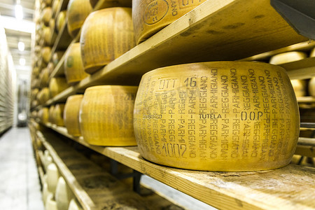 Parmigiano 奶酪工厂与老化奶酪