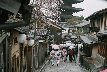 樱花季背景摄影照片_日本樱花季期间的京都老城