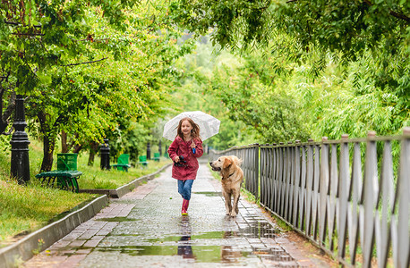 下雨狗摄影照片_带着狗在雨中行走的小女孩