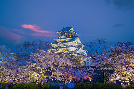 樱花季期间大阪城的黄昏
