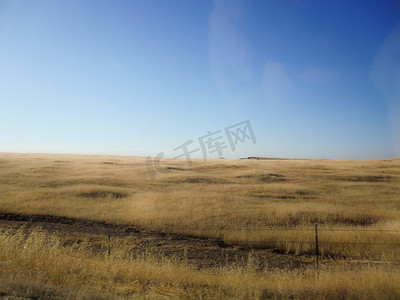 一个大黄色草地平原的全景与蓝色无云的天空