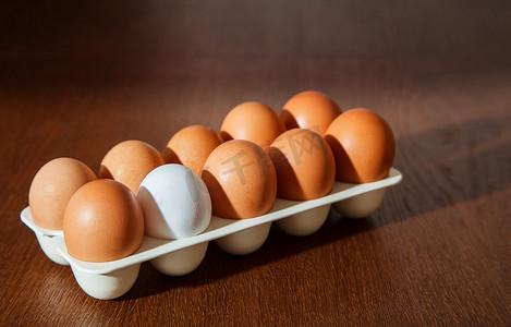 有机包装摄影照片_九个棕色鸡蛋和一个白色鸡蛋放在塑料托盘中