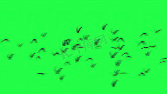 3d 插图-绿屏上有孤立天空的一群鸟