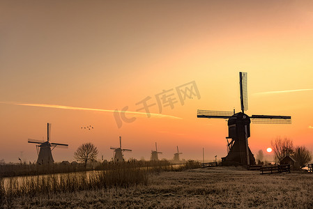 荷兰清晨日出时典型的荷兰乡村景观与风车剪影