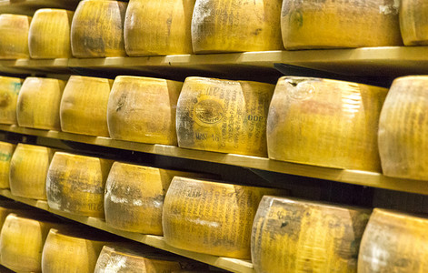 Parmigiano 奶酪工厂与老化奶酪